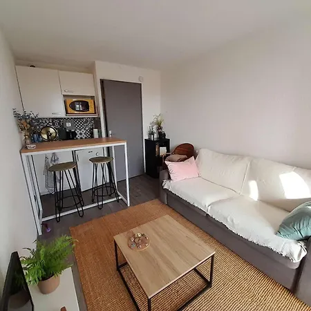 Proche Avec Balcon, Petit Garage Et Animaux Admis - Fr-1-324-561 Апартаменты Сент-Илер-де-Рье